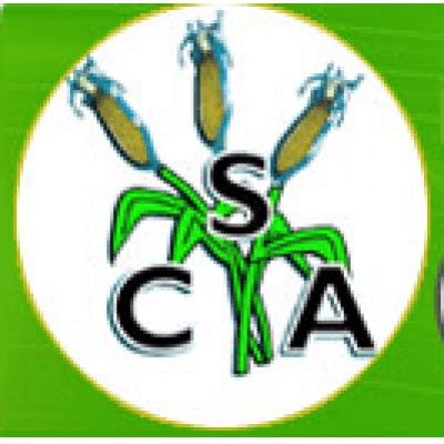 csa